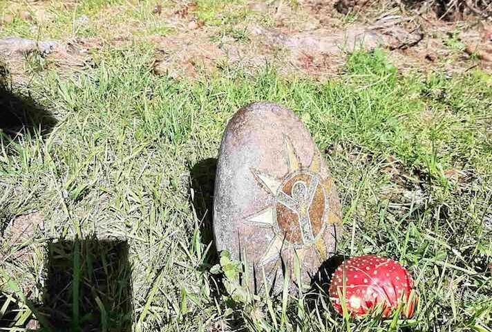 BioLogisches Heilwissen